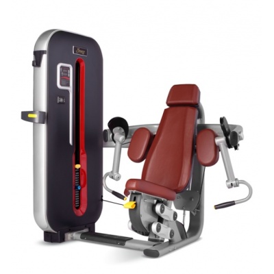  BRONZE GYM MT-006_C -    