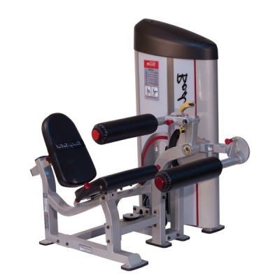  BRONZE GYM A9-12A -    