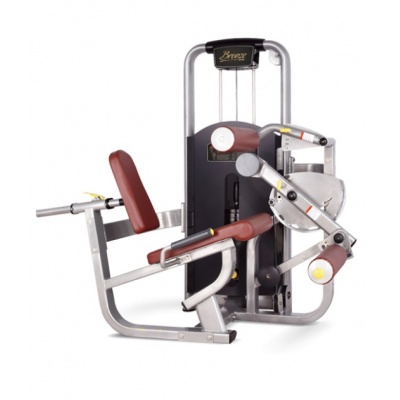  BRONZE GYM MV-013 -    