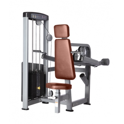  BRONZE GYM D-007 -    