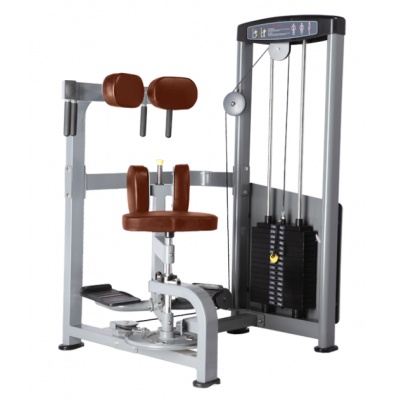  BRONZE GYM D-011 -    