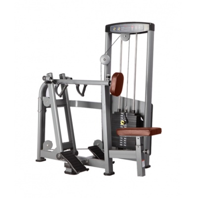  BRONZE GYM D-004 -    