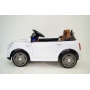     RiverToys Miniooper C111CC