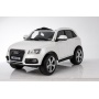     RiverToys Audi Q5