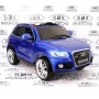     RiverToys Audi Q5