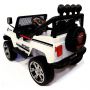    RiverToys Jeep T008TT