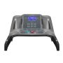    Carbon Fitness T806 HRC