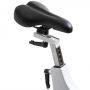  VictoryFit VF-GymRider 230