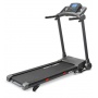    Carbon Fitness T601E